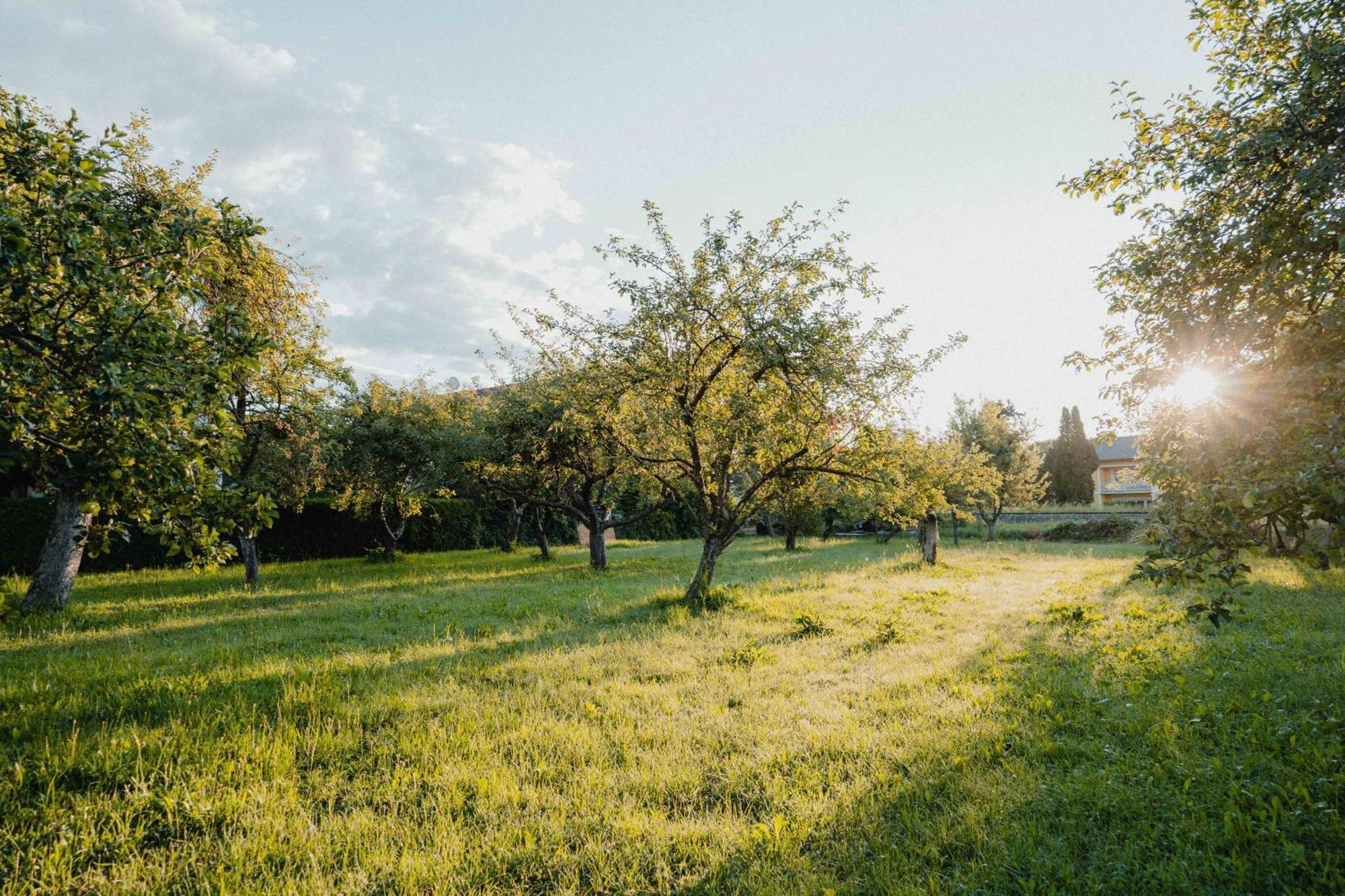 Garten-Hotel Ochensberger Sankt Ruprecht an der Raab Εξωτερικό φωτογραφία